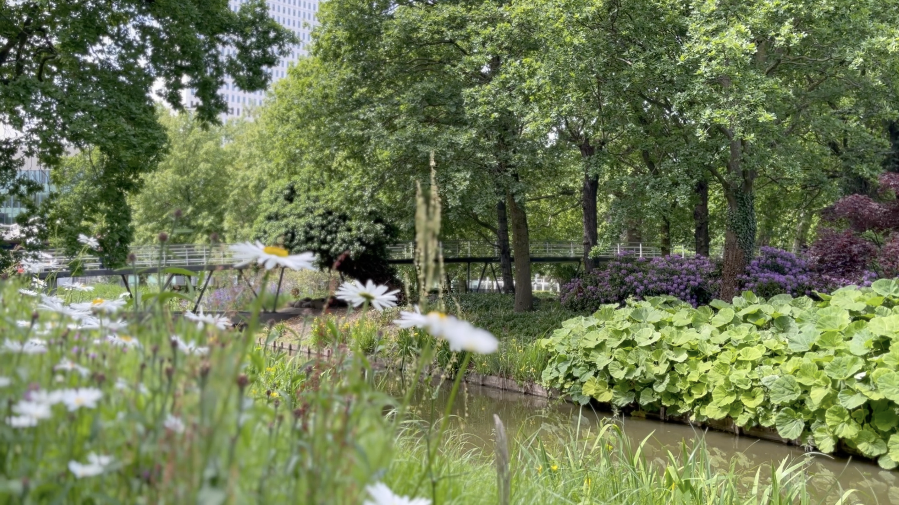 Museumpark